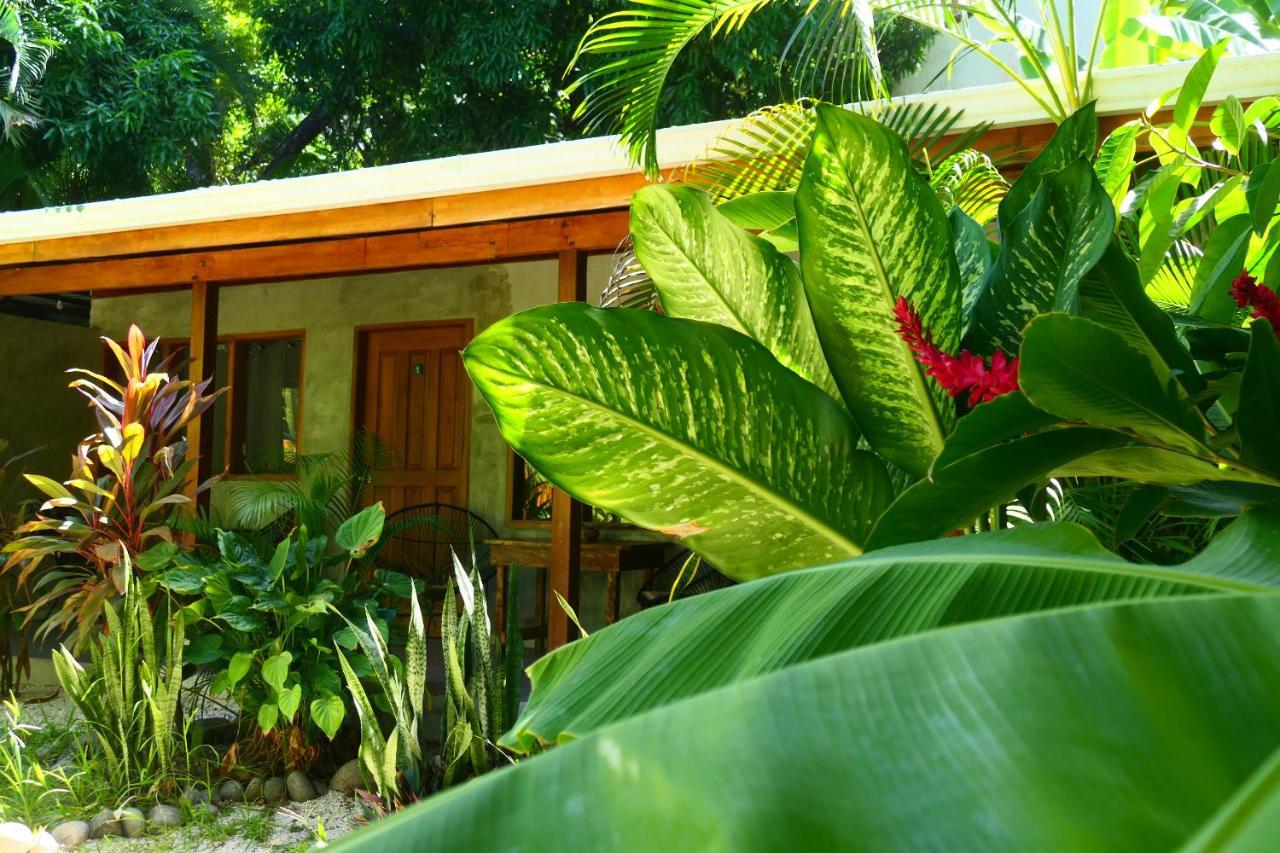 Cabinas Playa Surf Hostel Playa Santa Teresa  Ngoại thất bức ảnh