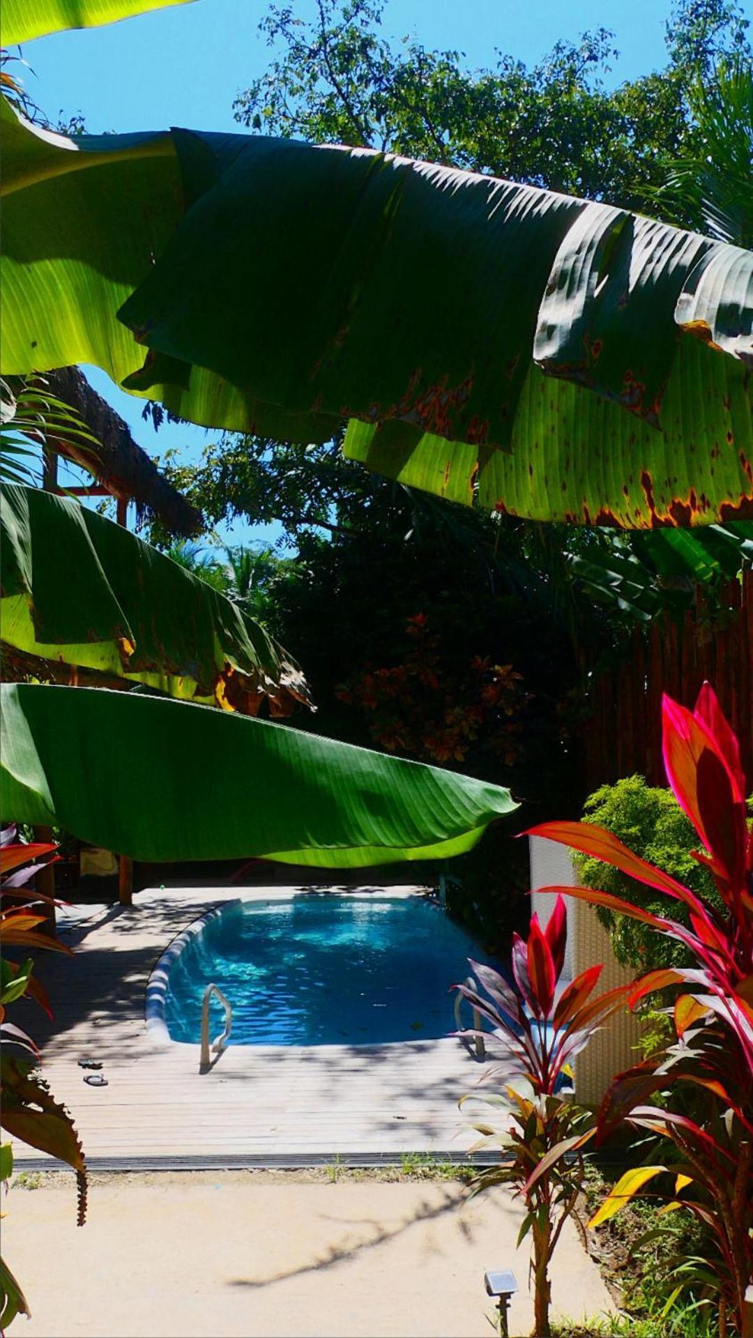 Cabinas Playa Surf Hostel Playa Santa Teresa  Ngoại thất bức ảnh
