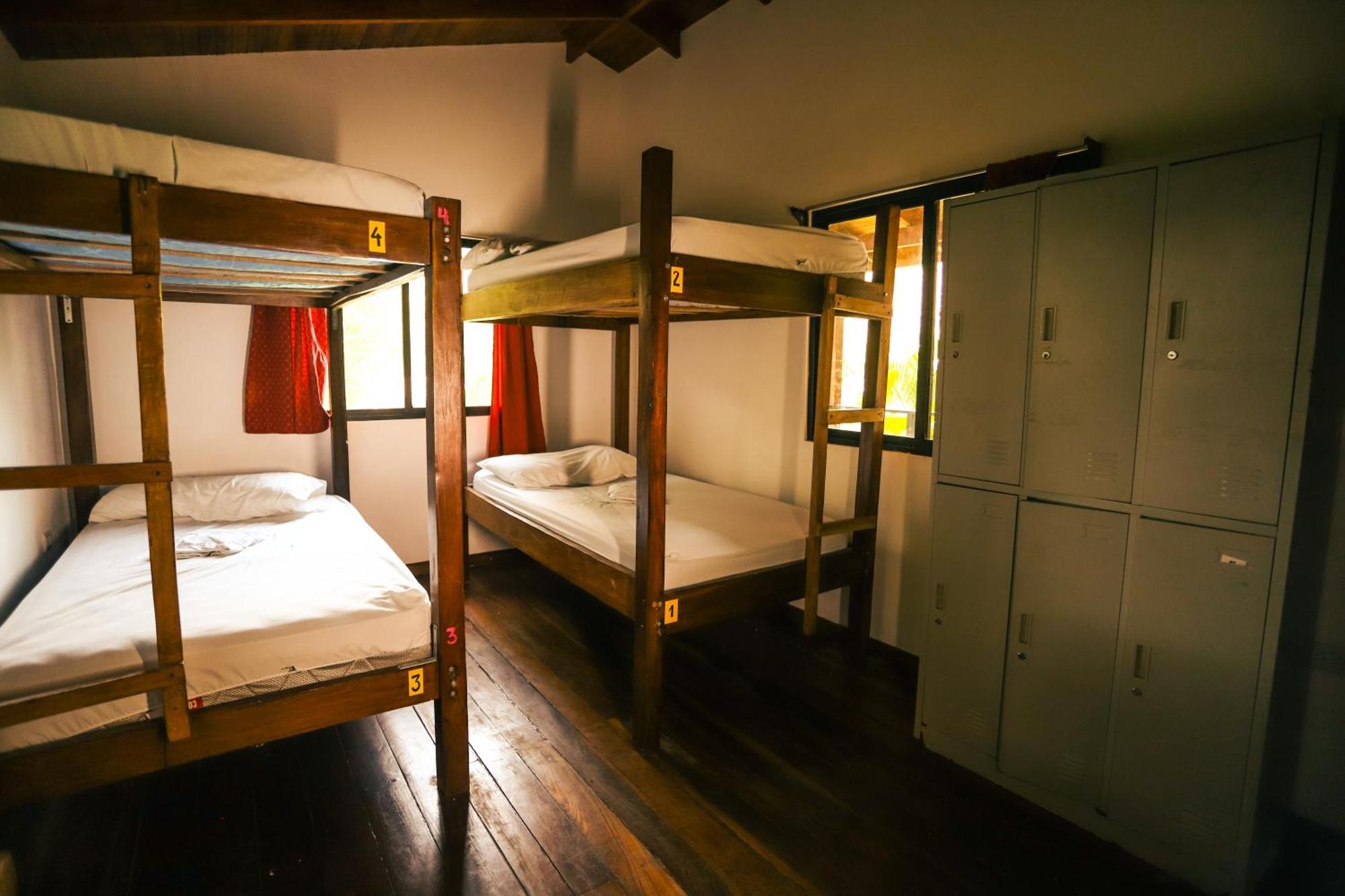 Cabinas Playa Surf Hostel Playa Santa Teresa  Ngoại thất bức ảnh