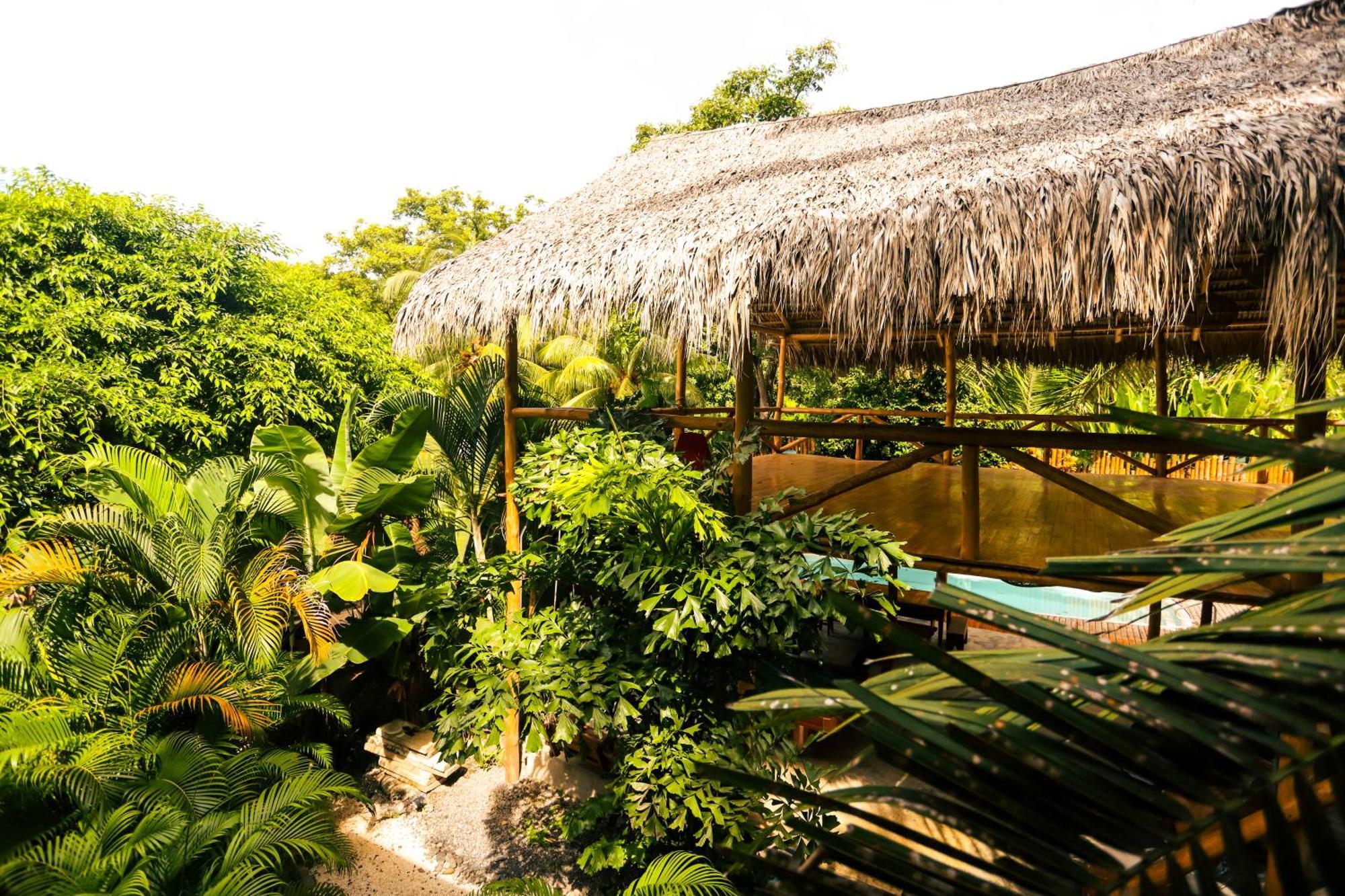 Cabinas Playa Surf Hostel Playa Santa Teresa  Ngoại thất bức ảnh