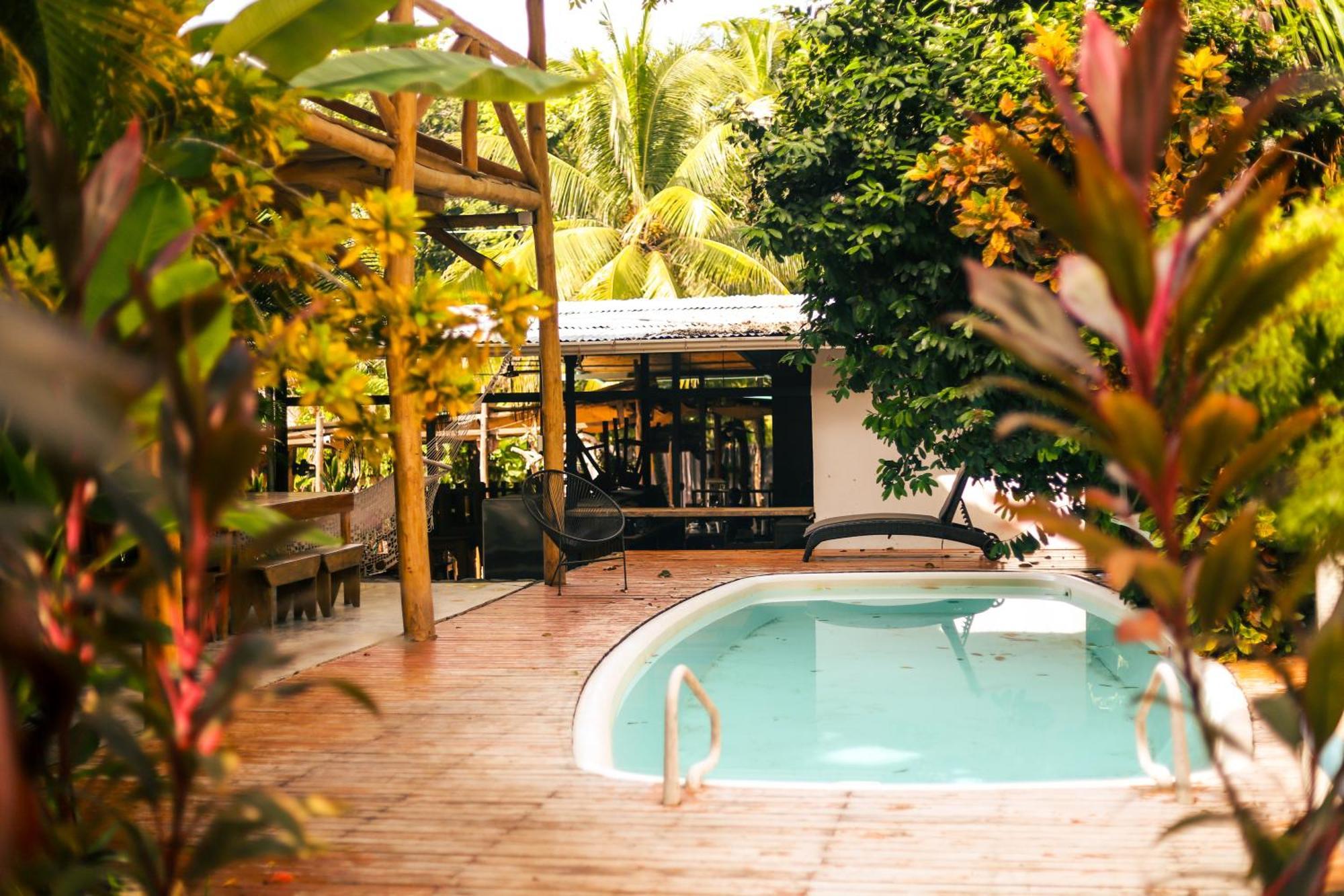 Cabinas Playa Surf Hostel Playa Santa Teresa  Ngoại thất bức ảnh