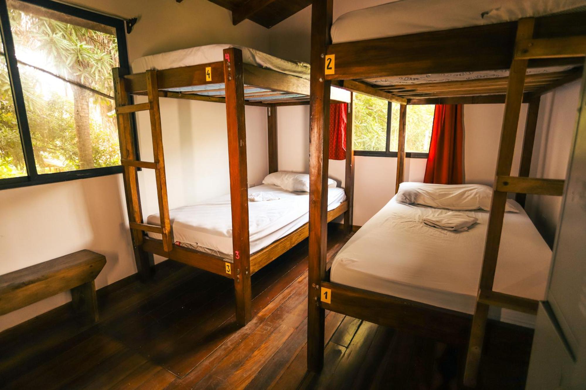 Cabinas Playa Surf Hostel Playa Santa Teresa  Ngoại thất bức ảnh