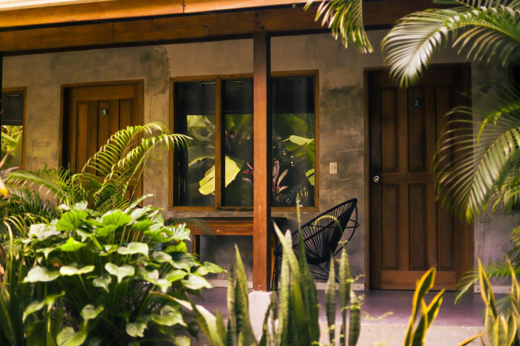 Cabinas Playa Surf Hostel Playa Santa Teresa  Ngoại thất bức ảnh