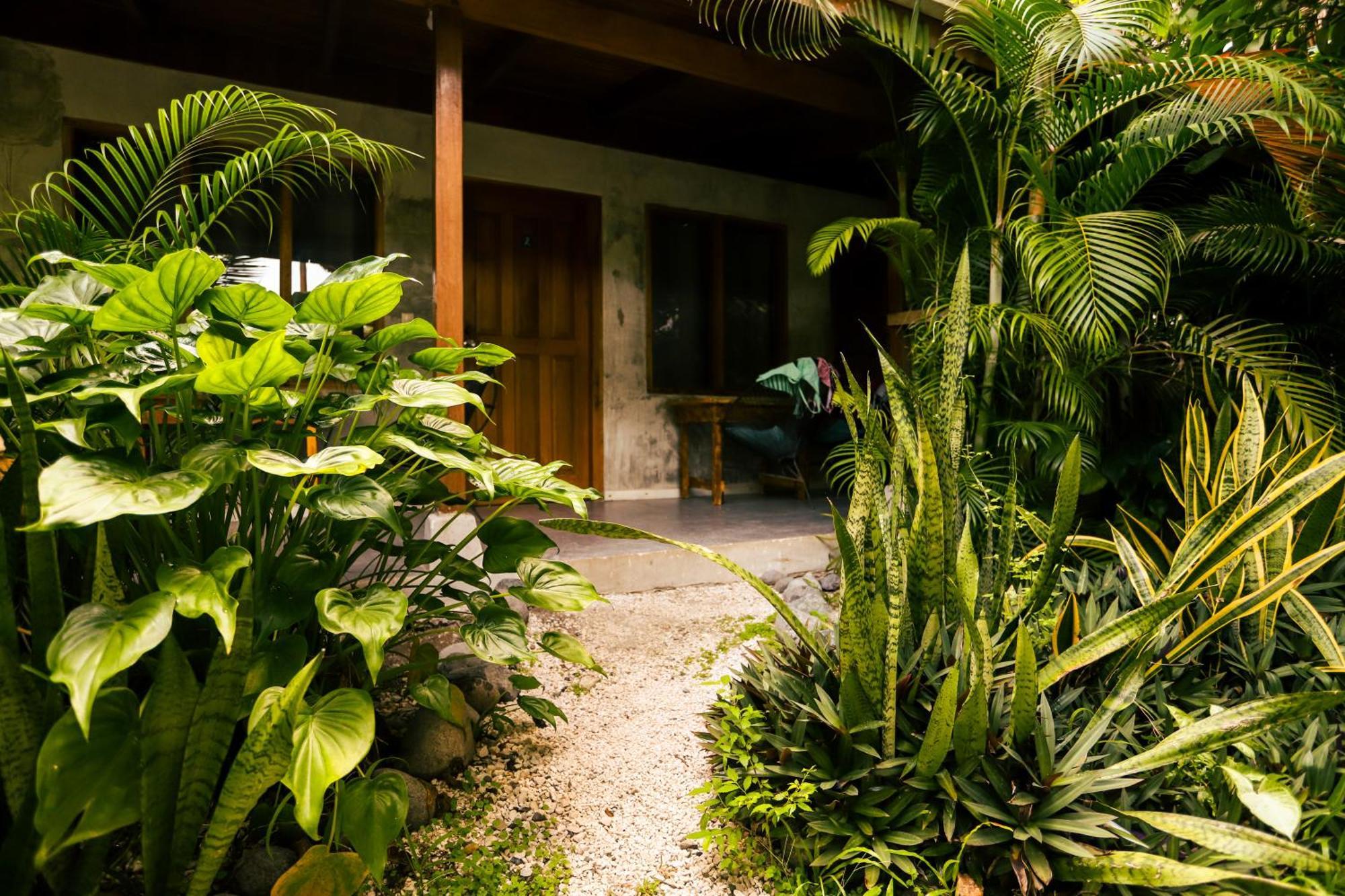 Cabinas Playa Surf Hostel Playa Santa Teresa  Ngoại thất bức ảnh