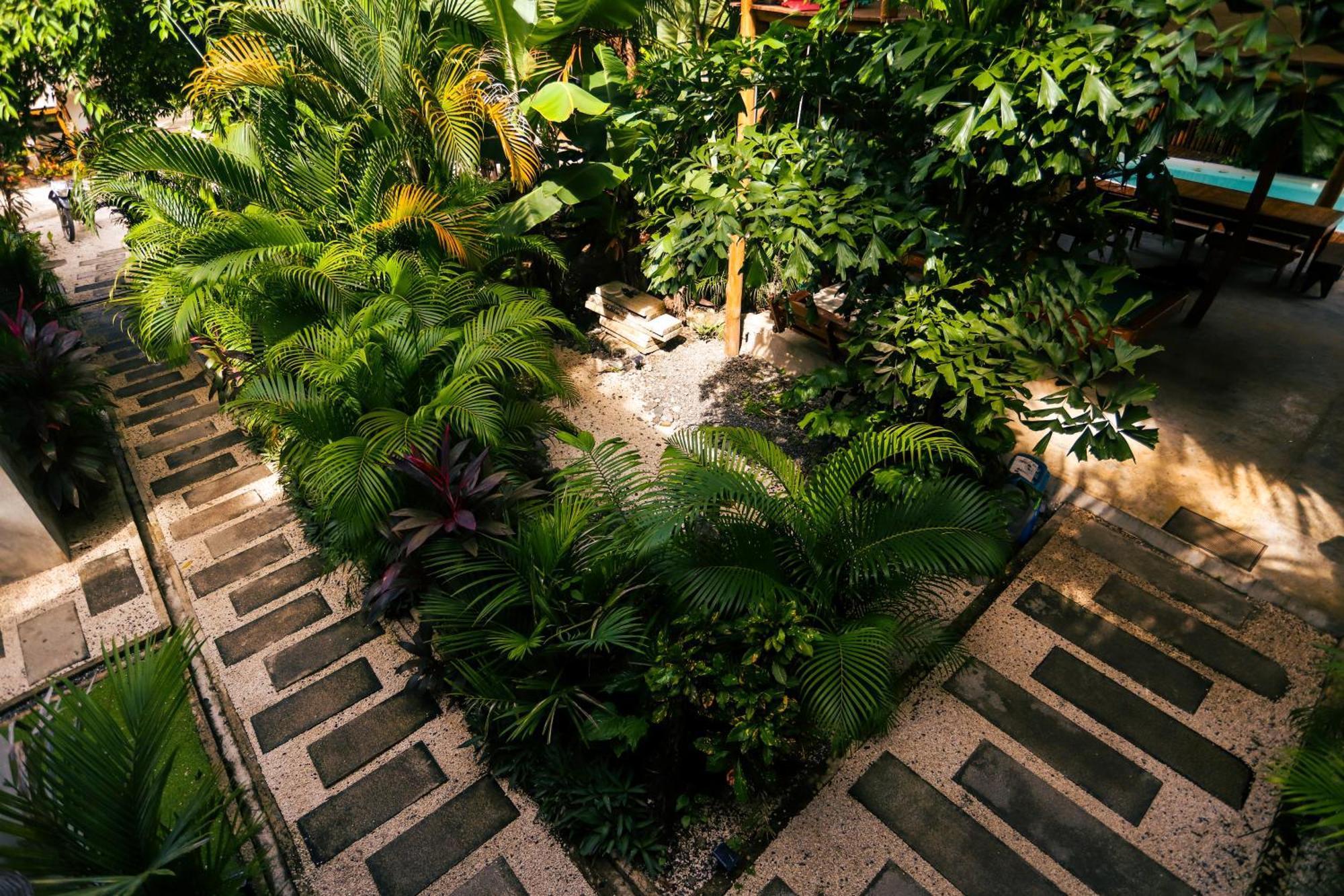 Cabinas Playa Surf Hostel Playa Santa Teresa  Ngoại thất bức ảnh