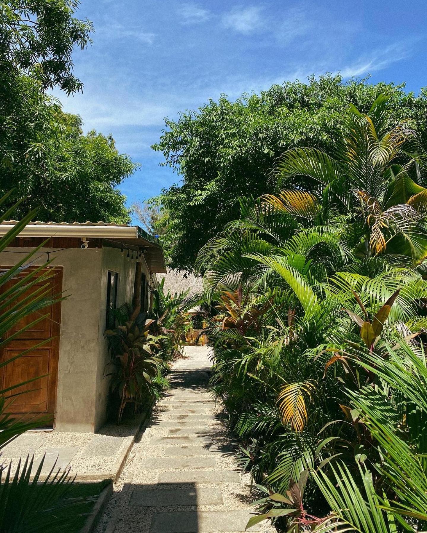 Cabinas Playa Surf Hostel Playa Santa Teresa  Ngoại thất bức ảnh